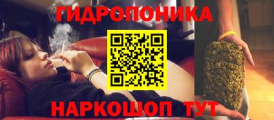 a pvp Новокубанск