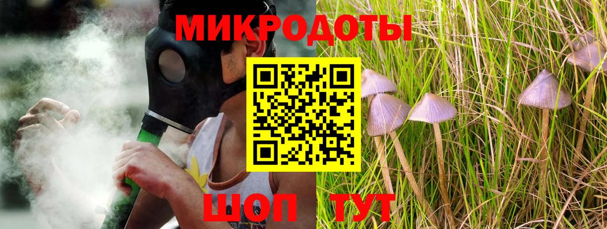 Псилоцибиновые грибы мухоморы Тольятти